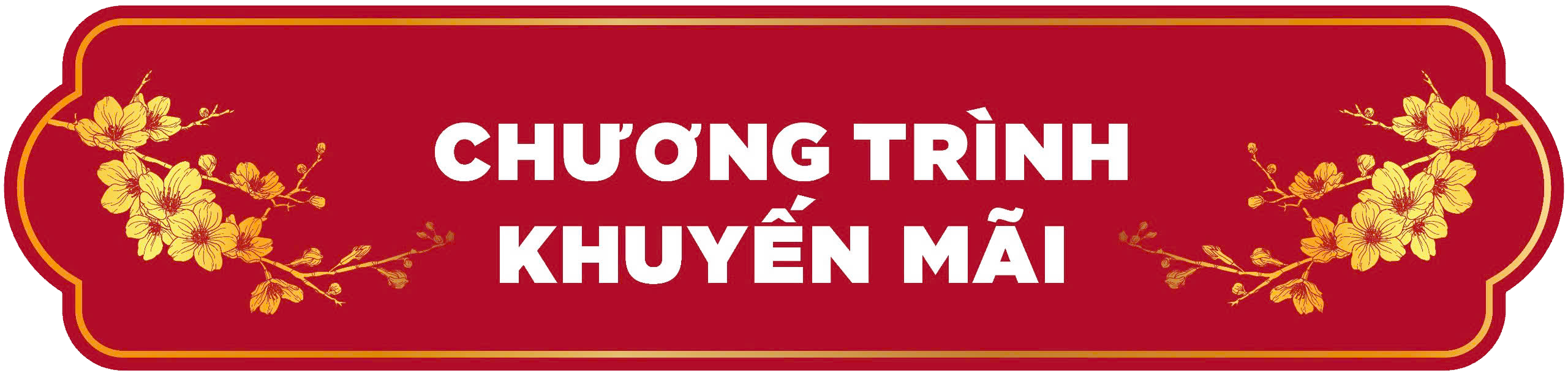 Chương trình khuyến mãi
